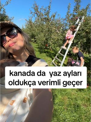 A post by @hebicankabak on TikTok caption: Yazdan kalma bir gün kanada da  yaz ayları oldukça verimli geçer #kanada🇨🇦 #yurtdışındayaşam #montreal #toronto 