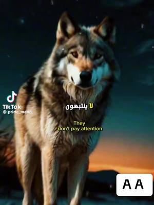 A post by @nagm362 on TikTok caption: # الخلاصه. 💔تر مني مااراه منك