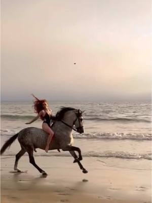 A post by @morganmoore031 on TikTok caption: First two days with Campero CXLI #california #beach #photoshoot #modeling #gallop #stallion #andalusian #bareback 