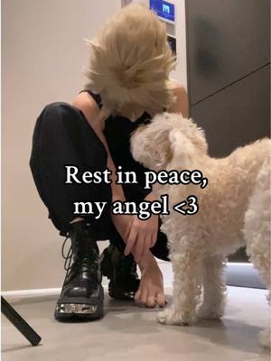 A post by @cospoxia.fever on TikTok caption: A little tribute post to celebrate Abby’s life. She’s been there through my whole cosplay journey, and was always behind the scenes trying to get in frame. She will always be in my heart and my she have the best of dreams now, forever <3 #ffviicosplay #dogsoftiktok #arcanecosplay 