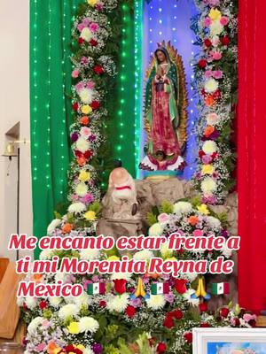 A post by @lachaparritazacatecana on TikTok caption: #fypシ゚ #tiktok #mañanitas #virgendeguadalupe #catolica 🌹🙏🌹🙏🌹🙏🌹🙏🌹🙏🌹@Mosquito_78 Te amo amor mio 🦟👼🏻🐸😘😍❤️🙏🥰🙏🌹🙏🌹🙏🌹🙏🌹🙏🌹🙏🌹