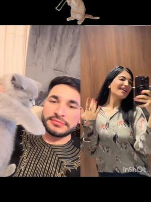 A post by @waliullah_sahibzada_1 on TikTok caption: cat 🐈 wali and zibaguly#1millionaudition #foryou #waliullah #waliarmy🔥 #waliullahsahibzada @Waliullah SAHIBZADA @𝓢5.𝔀𝓪𝓳𝓲𝓭 𝓽𝓪𝓱𝓪𝓷👿❤️ 