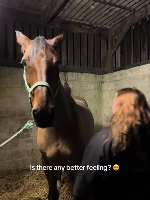 A post by @lilymason011 on TikTok caption: Hugh loves hugs! 🥹🥹  #horsegirl #horsebond #Love #hug #horsehug 