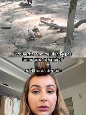 A post by @fabiola.melo on TikTok caption: #dueto com @Mcruzf 