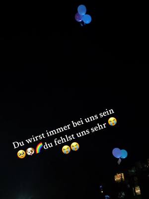 A post by @karinasiwitza0 on TikTok caption: Du fehlst uns sehr 🥹😭🌈🐶#kämpferinmitherz🤜❤🤛 #abschied #fyyyyypppp #fyyyyyyyyyyyyyyyy #foryoupage #dogsoftiktok #wirvermissendich #wirwerdendichnievergessen #wirliebendich 