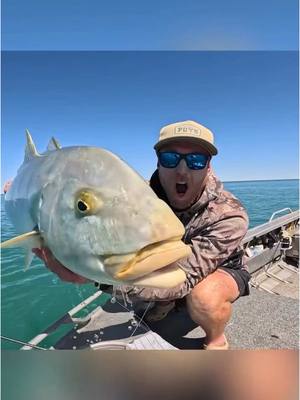 A post by @flylords on TikTok caption: Have you ever gotten this lucky twice?! ~ Cobia are frequently seen trailing large Manta Rays, engaging in an interdependent relationship with these majestic creatures. Cobia often use the Rays as cover, lying in wait to ambush unsuspecting prey. Renowned for their strength and determination, Cobia offer an exhilarating challenge on the fly, making them a prized target for saltwater anglers. ~ Check out the full Reel of the Week from Matt at [FLYLORDSMAG.COM]! ~ 📸: @field_days ~ #flylords #flyfishing #fishing #saltwater