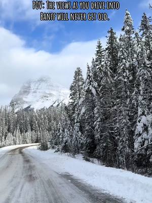 A post by @bevssvalle on TikTok caption: The views as you drive into Banff will never get old. 🏔️🏔️ #explorecanada #alberta #banff