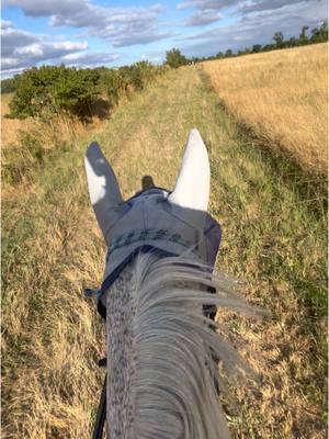 A post by @manon_estivals on TikTok caption: ♥️ #cavaliere #pourtoi #freedom #balade #galop 