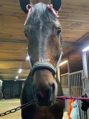 A post by @equ_voynova on TikTok caption: #CapCut #конныйспорт #equestriansport #спорт #equestrianvibes #верховаяезда #спортсмен 