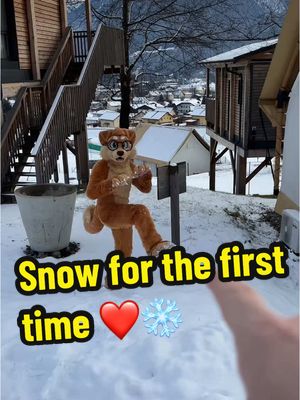 A post by @justafluffymax on TikTok caption: First time seeing snow! #furry #fursuit #cute #christmas 