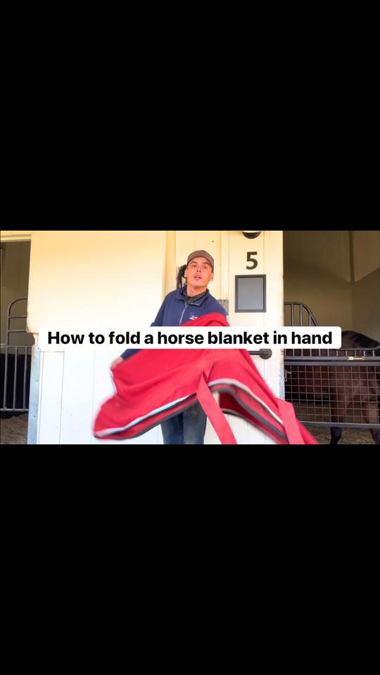 A post by @evans_world on TikTok caption: Full horse blanket folding tutorial now on youtube! Link in bio!