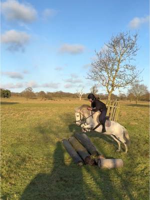 A post by @georgi.sh on TikTok caption: Jess’ first time Xc! She’s growing into a fab little pony 🙌 #mare #xc #jumping #crosscountry #jumper #sun #canter #equestrian #equine #eq #learning #pony #horses #horse 