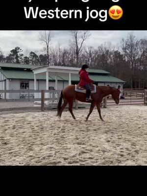 A post by @amarillomorning_sage on TikTok caption: Im a long time hunter/jumper so trying a Jog for the first time is crazy cool!😍😍 #Horses #western #westernpleasure #jog #hunterjumper #westernstyle #westernpleasureshowhorse #fyp #westernpleasurebred 