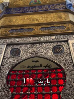 A post by @hlii12_ on TikTok caption: في أمانة الكافل 🙏🏼.. #يازينب_يامولاتي #السيدة_زينب #كربلاء #ياعباس #karbala #imamhussain #foryou 