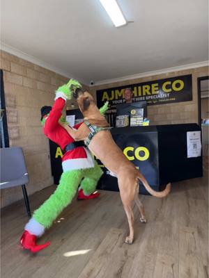 A post by @jamescapener on TikTok caption: Grinchy visits @AJM Hire Co to check out the equipment! #10daysleft #christmas #grinchytoksocks #grinchytok #ajm #fyp #mandurah 