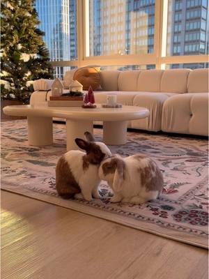 A post by @thebrekkiebuns on TikTok caption: Ok wait we kind of love this holiday rug so much we want to keep it out year round…thoughts? It even has bunnies incorporated into the design 🐇❤️ Thanks @Ruggable for gifting us this holiday rug!