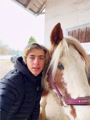 A post by @beesteez on TikTok caption: Teil 2: Der Pferde Gutschein 🦄😅 #beesteez #pferde #pferdemädchen #bibiundtina #ostwind #pferdeflüsterer #ponyhof 