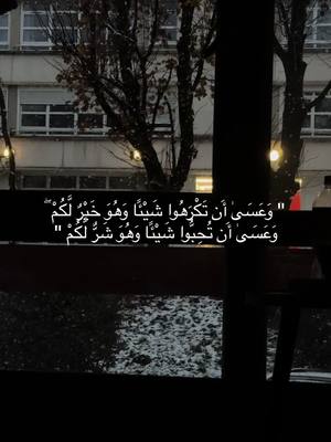 A post by @souheildaghfous on TikTok caption: #fyp 