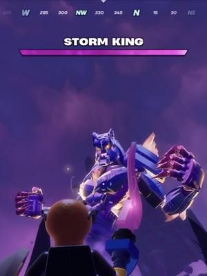 A post by @birdotv on TikTok caption: Share this with who you’re gonna beat the @legofortnite Storm King Boss with! #epicpartner#fortnite#legofortnite