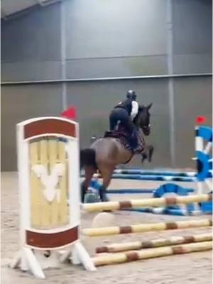 A post by @ikbeninneaangenaam on TikTok caption: Flinke 3,5jarige baby choco🥰 @SpecialStables #jumping #training #younghorse #horse #zangersheide 