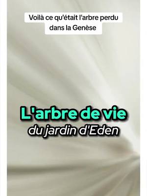 A post by @vision_eclaireurs on TikTok caption: L'arbre de vie de la Genèse #revelation #christ #jesuschrist #tiktokchretien #spiritualite #matrix #dieu #mystere 