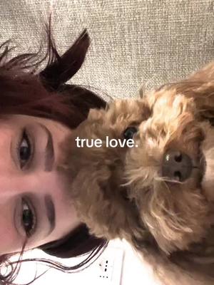 A post by @giulis.g on TikTok caption: my baby💗