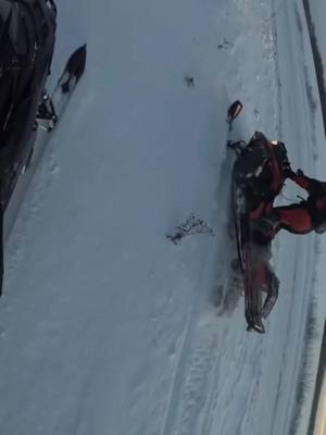 A post by @ontario_sledderz on TikTok caption: Thanks @Ontario_sledderz_9️⃣1️⃣3️⃣ for the #gopro footage lmao. and some of my own. Gopro died to early 👎 TIKTOK THIS IS DONE BY PROFESSIONAL STOP TAKING MY SHIT DOWN #professional #skidoo #polaris #winterfun #aigenerated #fake #wheelie 