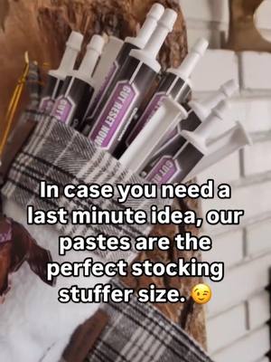 A post by @bluebonnet.feeds on TikTok caption: Give the gift of quality nutrition this season! 🎁 Some of our favorite formulas come in easy-to-use, fast-acting pastes: ✨ Travel Paste to help encourage drinking on the road and at competitions ✨ Gut Reset Paste for a digestive boost and increased appetite ✨ Surge Paste to support lung function during intense exercise or competition ✨ Engage Paste to promote relaxation and mental focus