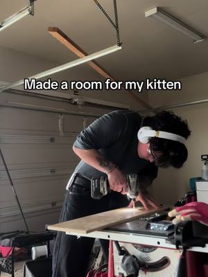 A post by @alxyelift on TikTok caption: #catdad 