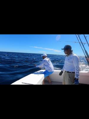 A post by @fishingfins on TikTok caption: Backing up hard on a Sailfish, amazing Colors on this one. Fishingfins Team at the 9th International Billfish Tourney in Guatemala #fishingfins #fishing #fishinglife #fishingaddict #fishon #fishingtrip #fishingdaily #fishingboat #sea #sealife #ocean #oceanlife #guatemala #fyp