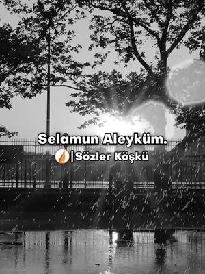 A post by @sozlerkoskutiktok on TikTok