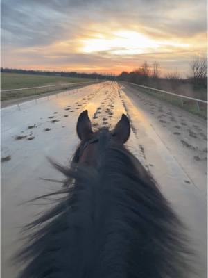 A post by @j.eahern on TikTok caption: Nothing like being on the back of a racehorse ❤️❤️ #racehorses #thoroughbred #kentucky #equine #exerciserider #jockey 