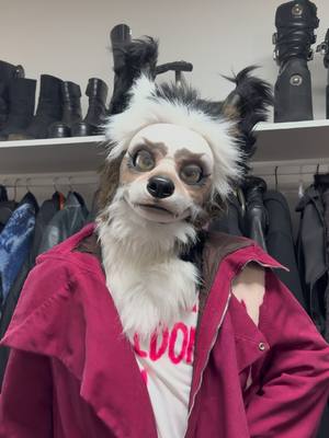 A post by @riverspey on TikTok caption: had the honour of seeing the collection in person 😩 credit to @riko.ratty for the camerawork  #fursuit #furryfandom #furry #fashion 