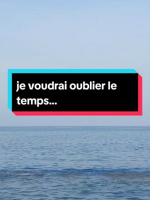 A post by @francais.arabic2 on TikTok caption: je voudrais oublier le temps... #apprendrelefrançais #تعلم_على_التيك_توك #أغاني_مترجمة #apprendresurtiktok #france #france🇫🇷 #paris 