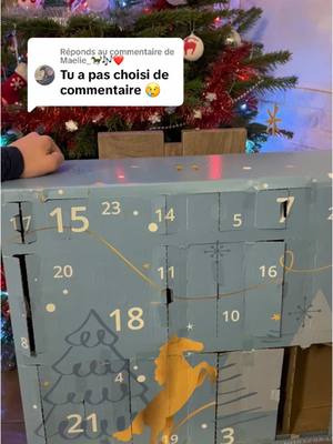 A post by @alexcapricorne on TikTok caption: Réponse à @Maelie_🐎🎶❤️ case 14 15 16 17 