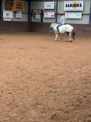 A post by @winniethetinker on TikTok caption: knappe winne pin❤️#horse #tinker #irishcob 