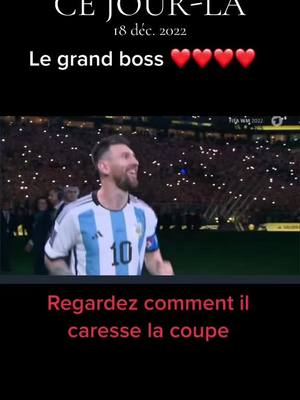 A post by @aronsky9 on TikTok caption: #cejour-là