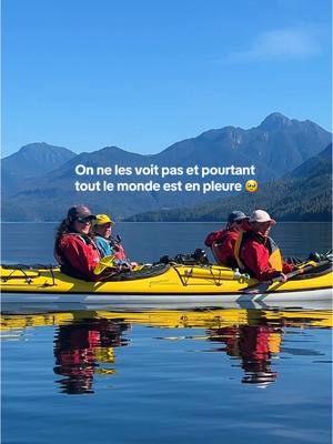 A post by @little_gypsy on TikTok caption: Les orques 🖤🤍 Quand on me demande pourquoi j'aime tant faire du kayak à en avoir mal au bras, à en être épuisée, à en perdre des journées entières d'affilée sans rien voir : pour ces moments bien précis où l'émotion est encore plus décuplée que si ça avait été si simple d'aller les voir 🐋 Parce que je sais aussi que mon bonheur n'est pas une émotion juste pour me faire plaisir moi sans penser à elles en ne faisant aucun bruit sur l'eau et en ne les dérangeant pas. #orca #kayak 