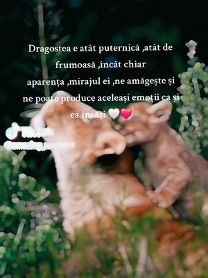 A post by @mirela1oficial on TikTok caption: #viral_video #5pasidebine #fypシ#amazing #citate #iubire #iubireadevarata 