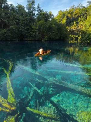 A post by @joehattab on TikTok caption: Indonesia 🇮🇩 clearest lake انقى بحيرة