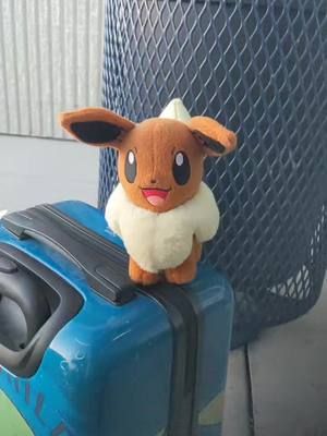 A post by @raisingbabyyoda on TikTok caption: Going on the Flight With Eevee #eevee #pokemon #foryoupage 