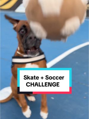 A post by @dannyleon on TikTok caption: 🛹⚽️ . #deportesentiktok #skate #futbol #challenge #dog 