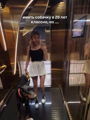 A post by @dari.dobers on TikTok caption: что я там еще забыла? 😅