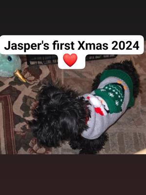 A post by @tanyagarrison0 on TikTok caption: #fyp my Jasper Lee Garrison ❤️ 