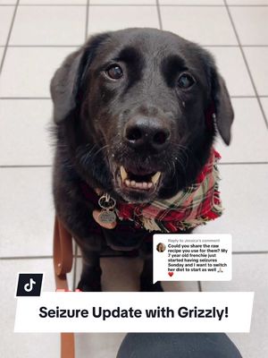 A post by @fourjollypets on TikTok caption: Replying to @Jessica Wait till the end for the feeding calculator + benefits! Grizzly exclusively eats Straight Beef formula & Keifer from @@Answers Pet Food(He loves it) I based it off of my dogs weight & activity level. You can use code: “Jollypets10” to save!  Along with MCT Oil at each meal time (2times a day) : https://amzn.to/4eyNEt0 1 tsp for 50lbs each day. Seizure Guardian in the mornings : https://amzn.to/3Vymf1Z And CBD (2 times a day): You can try  Active Millagrams Pet gel that goes on the ear- just make sure you clean the ear before really good- https://www.activemg.com/product/pet-gel/ or a tincture (I don’t do both) https://www.greencoastpet.com/store/Dog-c44139102  We use daily supplements now from @@Native Pet Feel free to use code “JOLLYPETS20” at check out! I truly hope this helps you and your furbabys epilepsy journey! All of our links to each item is in our bio too. ##epilepsyawareness##dogswithepilepsy##epilepsydog##seizuresindogs##dogseizures##rawdogfood##rawdogdiet