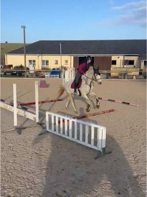 A post by @manon_estivals on TikTok caption: La soeur et le frere 🥰 Bad girl 13 ans et Kannan 4 ans et demi tout premier saut monté 🤩 #cavaliere #horse #cheval #sellefrancais #jeunecheval #elevage 