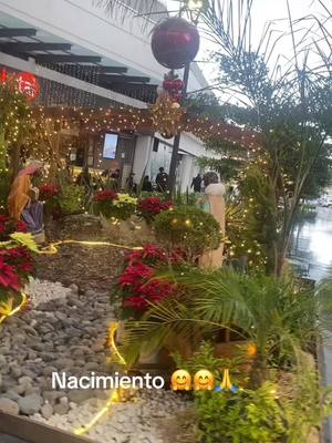 A post by @lolisgarcia26 on TikTok caption: #navidad #fiestas #paz #amor #familia #feliz navidad 🌺🌺🌺#🎄🎄🎄 #☃️☃️☃️ #🌧🌧 #