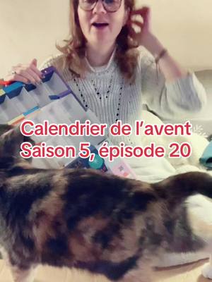 A post by @madameclairon on TikTok caption: Calendrier de l’avent : saison 5, épisode 20 Ce mois de décembre passe à une vitesse 😱 #calendrierdelavent #calendrier #noel #chat #bébé #humour #bretagne #santé #malade #mouchoir @HyperU.Guichen 