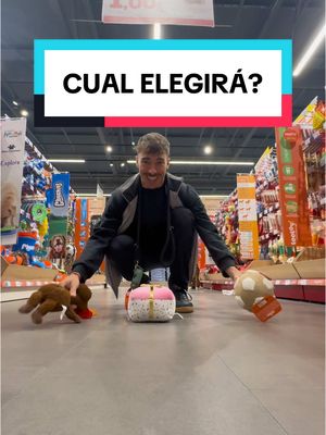 A post by @dannyleon on TikTok caption: Mi perra elige su jueguete nuevo 😂 #funny #humor #animal #pet #mascota #compras #perro #comedia 