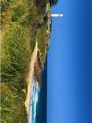 A post by @x7sinxx on TikTok caption: 😎☕️ #CapCut #fypspotted #fyp #fypシ #tiktokviral #fypシ゚viral #tiktoker #FYP #fyp #fy #nature #sky #beach #beachvibes #sydney #nature 